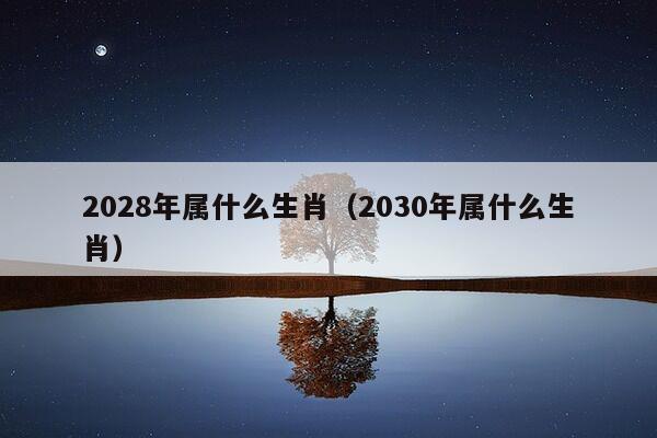 2028年属什么生肖（2030年属什么生肖）