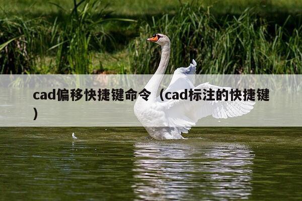 cad偏移快捷键命令（cad标注的快捷键）