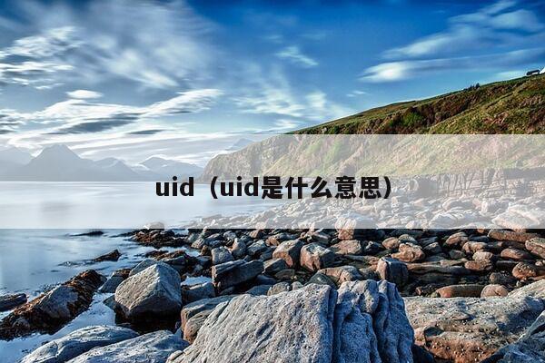 uid（uid是什么意思）