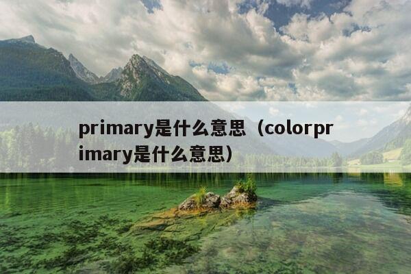 primary是什么意思（colorprimary是什么意思）