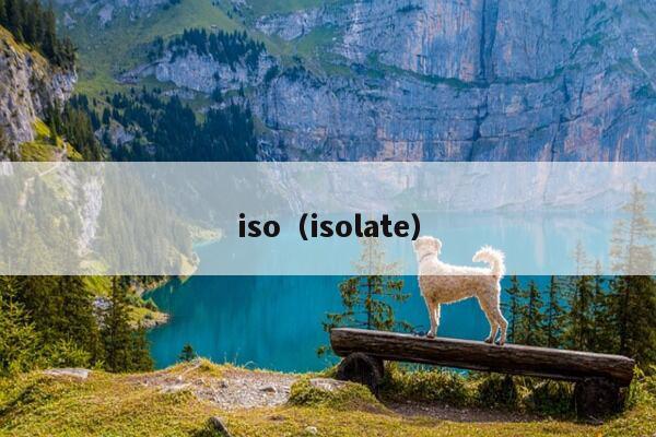 iso（isolate）