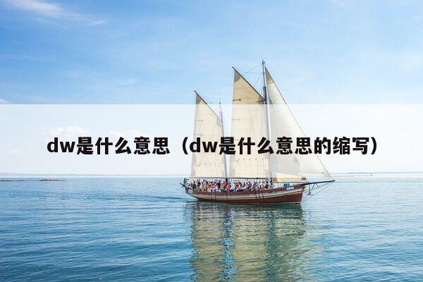 dw是什么意思（dw是什么意思的缩写）