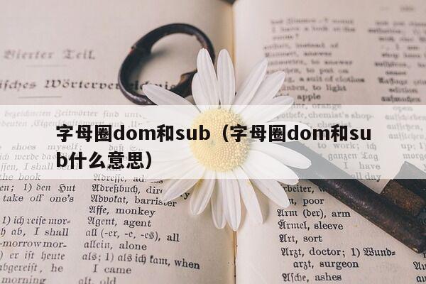 字母圈dom和sub（字母圈dom和sub什么意思）