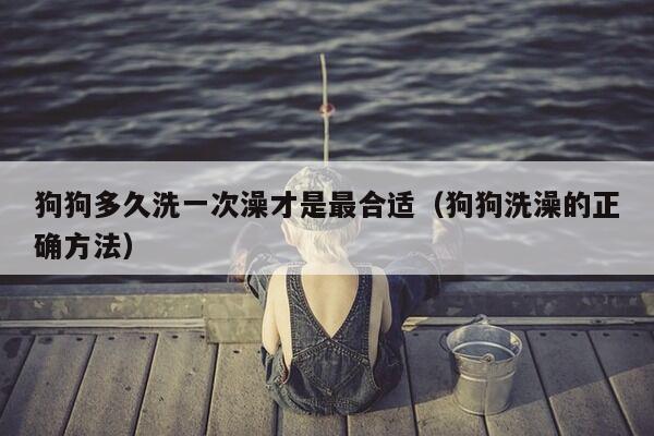 狗狗多久洗一次澡才是最合适（狗狗洗澡的正确方法）