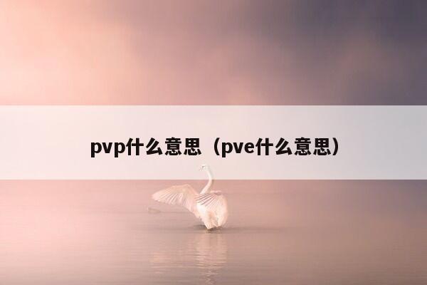 pvp什么意思（pve什么意思）