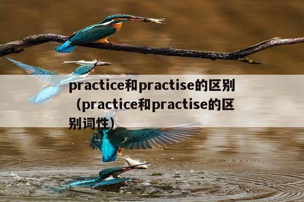 practice和practise的区别（practice和practise的区别词性）