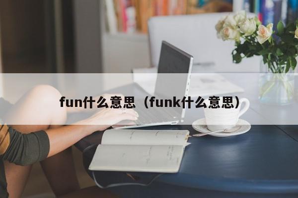 fun什么意思（funk什么意思）