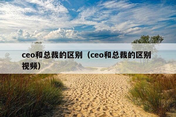 ceo和总裁的区别（ceo和总裁的区别 视频）