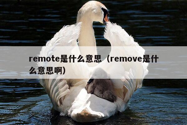 remote是什么意思（remove是什么意思啊）