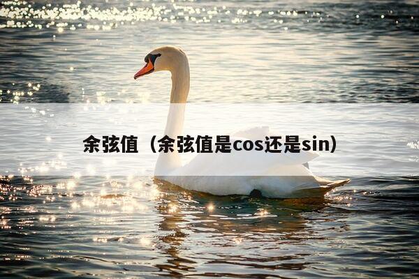 余弦值（余弦值是cos还是sin）