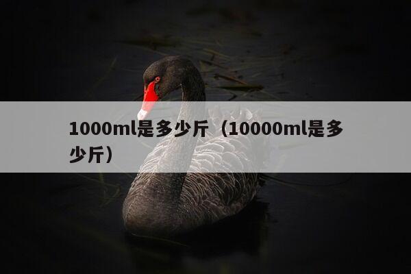 1000ml是多少斤（10000ml是多少斤）