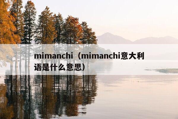 mimanchi（mimanchi意大利语是什么意思）