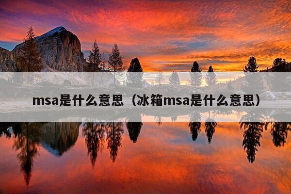 msa是什么意思（冰箱msa是什么意思）