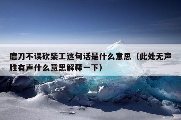 磨刀不误砍柴工这句话是什么意思（此处无声胜有声什么意思解释一下）