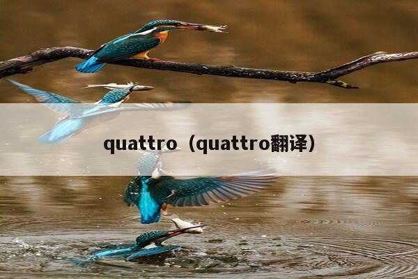 quattro（quattro翻译）