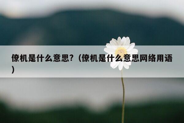 僚机是什么意思?（僚机是什么意思网络用语）