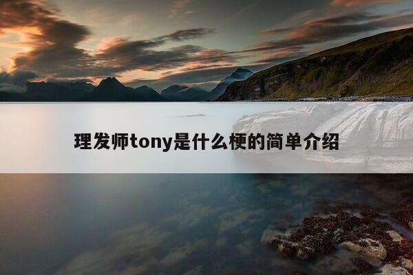 理发师tony是什么梗的简单介绍