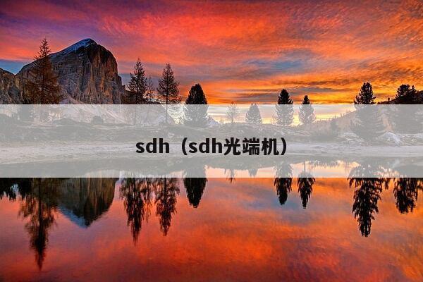 sdh（sdh光端机）