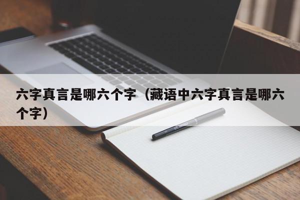 六字真言是哪六个字（藏语中六字真言是哪六个字）