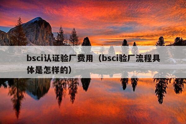 bsci认证验厂费用（bsci验厂流程具体是怎样的）