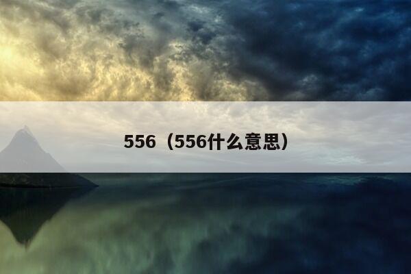 556（556什么意思）