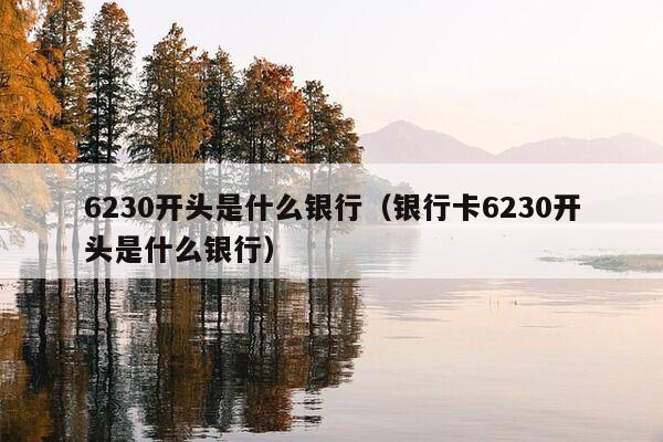 6230开头是什么银行（银行卡6230开头是什么银行）