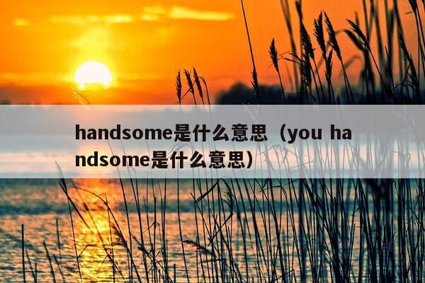 handsome是什么意思（you handsome是什么意思）