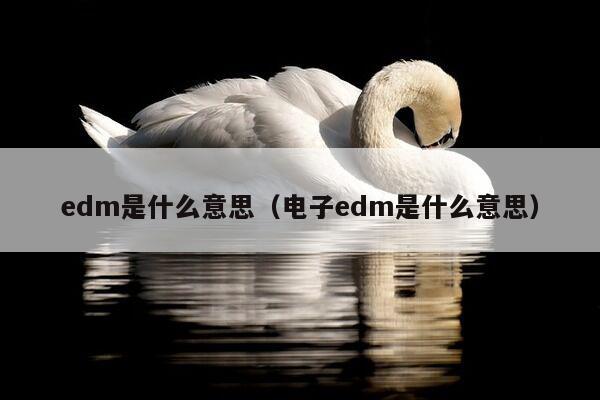 edm是什么意思（电子edm是什么意思）