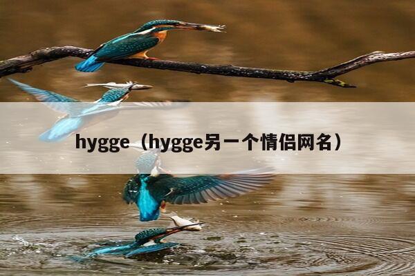 hygge（hygge另一个情侣网名）