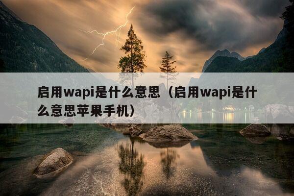 启用wapi是什么意思（启用wapi是什么意思苹果手机）