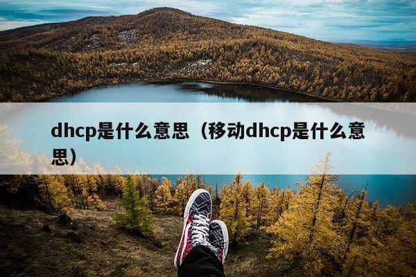 dhcp是什么意思（移动dhcp是什么意思）