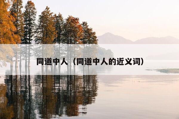 同道中人（同道中人的近义词）