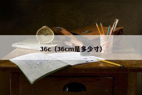 36c（36cm是多少寸）