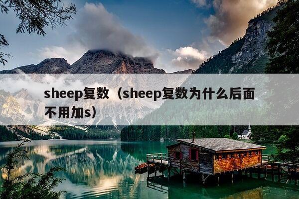 sheep复数（sheep复数为什么后面不用加s）