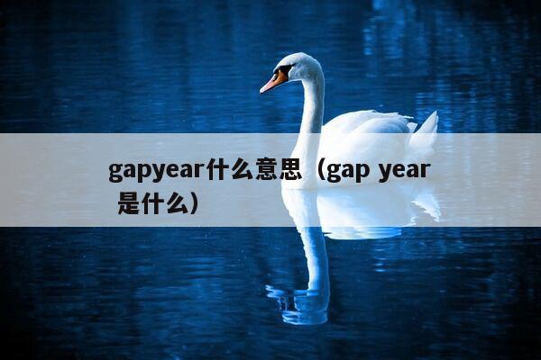 gapyear什么意思（gap year 是什么）