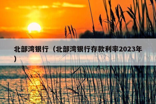 北部湾银行（北部湾银行存款利率2023年）