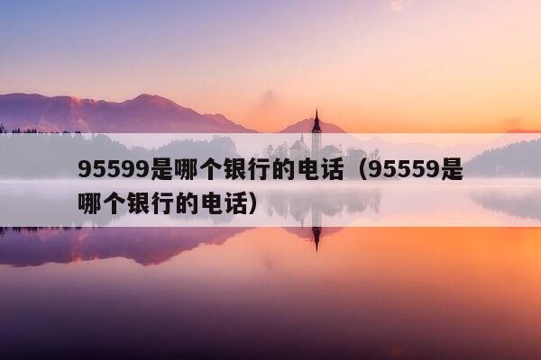 95599是哪个银行的电话（95559是哪个银行的电话）