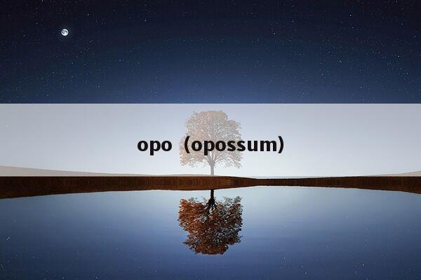 opo（opossum）