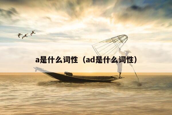 a是什么词性（ad是什么词性）