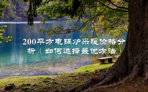 200平方电锅炉采暖价格分析（如何选择最优方法）