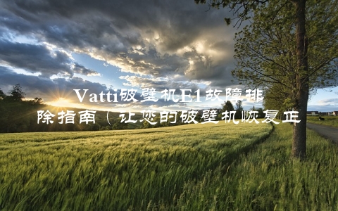 Vatti破壁机E1故障排除指南（让您的破壁机恢复正常工作）