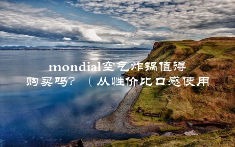 mondial空气炸锅值得购买吗？（从性价比口感使用体验三方面详细评测）