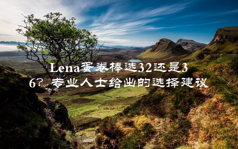 Lena蛋卷棒选32还是36？专业人士给出的选择建议