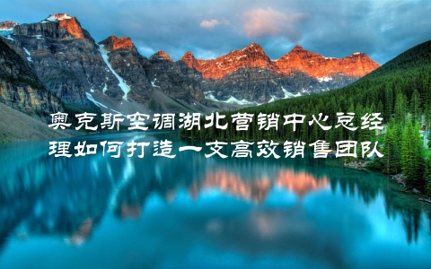 奥克斯空调湖北营销中心总经理如何打造一支高效销售团队？