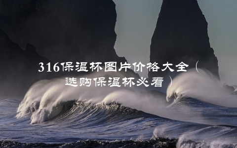 316保温杯图片价格大全（选购保温杯必看）