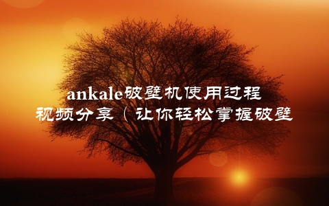 ankale破壁机使用过程视频分享（让你轻松掌握破壁机的正确使用方法）