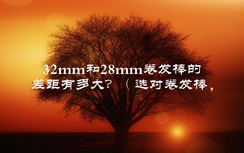 32mm和28mm卷发棒的差距有多大？（选对卷发棒，让你的发型更加完美）