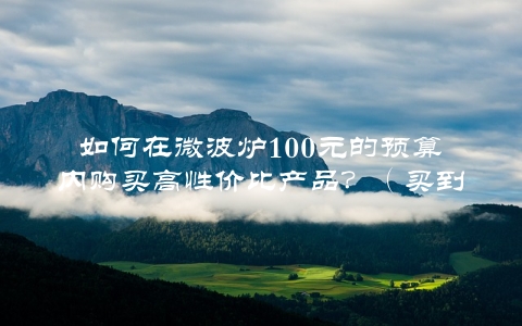 如何在微波炉100元的预算内购买高性价比产品？（买到好货还能省钱）